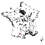 Geranium pusillum sensu L. [1759 XI] - carte des observations