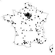 Matthiola incana var. fruticosa Rouy & Foucaud - carte des observations