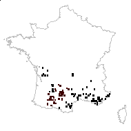 Ophrys scolopax Cav. - carte des observations