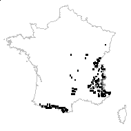 Poa alpina subsp. digitata Beauverd - carte des observations