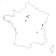 Rumex aquaticus L. - carte des observations