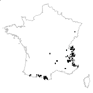 Trifolium badium Schreb. - carte des observations