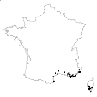 Medicago tribuloides proles tentaculata (Willd.) Rouy - carte des observations