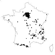 Poa nemoralis L. subsp. nemoralis - carte des observations