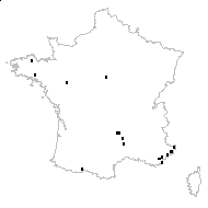 Sagina subulata (Sw.) C.Presl subsp. subulata - carte des observations