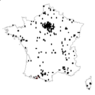 Erysimum duriaei Boiss. - carte des observations