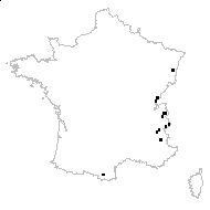 Chaerophyllum hirsutum L. var. hirsutum - carte des observations