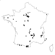 Scleranthus annuus var. fasciculatus Gillot & Coste - carte des observations