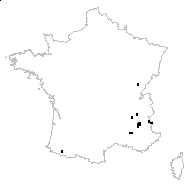 Cheiranthus dubius Suter - carte des observations