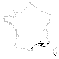 Ononis reclinata L. - carte des observations