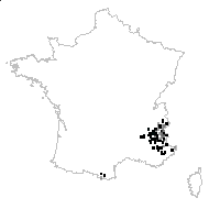 Ononis rotundifolia L. - carte des observations