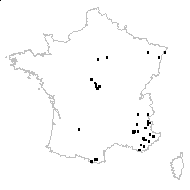 Ononis spinosa subsp. caduca (Vill.) P.Fourn. - carte des observations