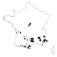 Ononis rhinanthoides Lapeyr. - carte des observations