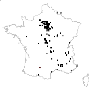 Poa pratensis L. subsp. pratensis - carte des observations