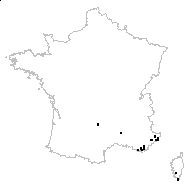 Pisum commune subsp. elatius (M.Bieb.) Bonnier & Layens - carte des observations