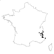 Pedicularis rostratospicata Crantz - carte des observations