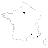 Styphnolobium japonicum (L.) Schott - carte des observations