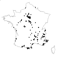 Trifolium arvense L. var. arvense - carte des observations