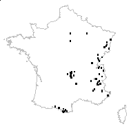 Chrysaspis aurea (Pollich) Greene - carte des observations