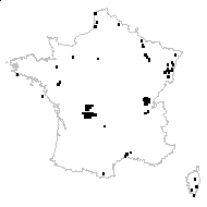 Medicago microcarpa Balb. - carte des observations