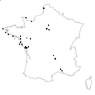 Trigonella uniflora Munby - carte des observations