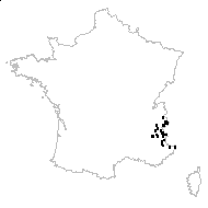 Trifolium pratense subsp. nivale Ces. - carte des observations