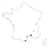 Trifolium angustifolium subsp. purpureum (Loisel.) Gibelli & Belli - carte des observations