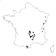 Trifolium spadiceum L. - carte des observations