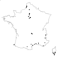 Carex distans L. subsp. distans - carte des observations