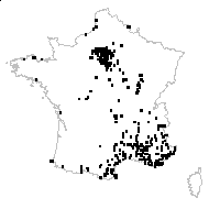 Euphorbia helioscopia L. subsp. helioscopia - carte des observations