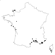 Trifolium suffocatum L. - carte des observations