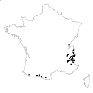 Poa alpina L. subsp. alpina var. alpina - carte des observations