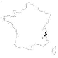 Poa alpina subsp. alpina var. vivipara L. - carte des observations