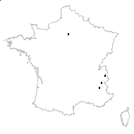 Alchemilla acutiloba var. mollis Buser - carte des observations