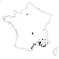 Trigonella monspeliaca L. - carte des observations