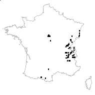 Vicia dumetorum L. - carte des observations