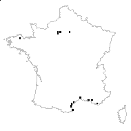 Vicia gracilis Loisel. - carte des observations