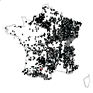 Vicia sepium var. parvifolia Carion - carte des observations