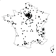 Vicilla sylvatica (L.) Schur - carte des observations