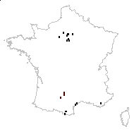 Vicia glabrescens (W.D.J.Koch) Heimerl - carte des observations