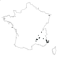 Koeleria sp. - carte des observations