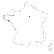 Vulpia sp. - carte des observations