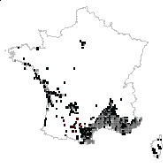 Quercus calycina Poir. - carte des observations