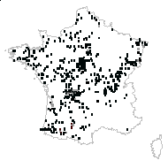 Quercus rubra L. - carte des observations