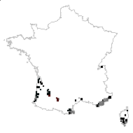 Quercus suber L. - carte des observations