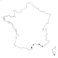Franca thymifolia Vis. - carte des observations