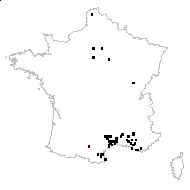 Fumaria minima Pugsley - carte des observations