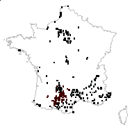 Blackstonia perfoliata (L.) Huds. - carte des observations