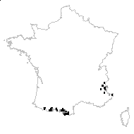 Coilantha burseri (Lapeyr.) Bercht. & J.Presl - carte des observations