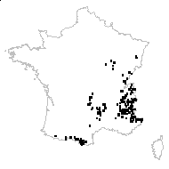 Gentiana lutea L. subsp. lutea - carte des observations